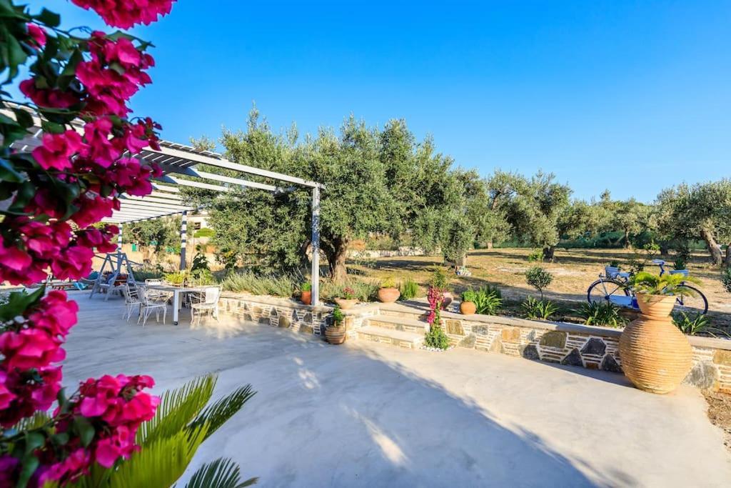Skopelos Blue Heaven Pool Villa In Olive Grove Екстериор снимка