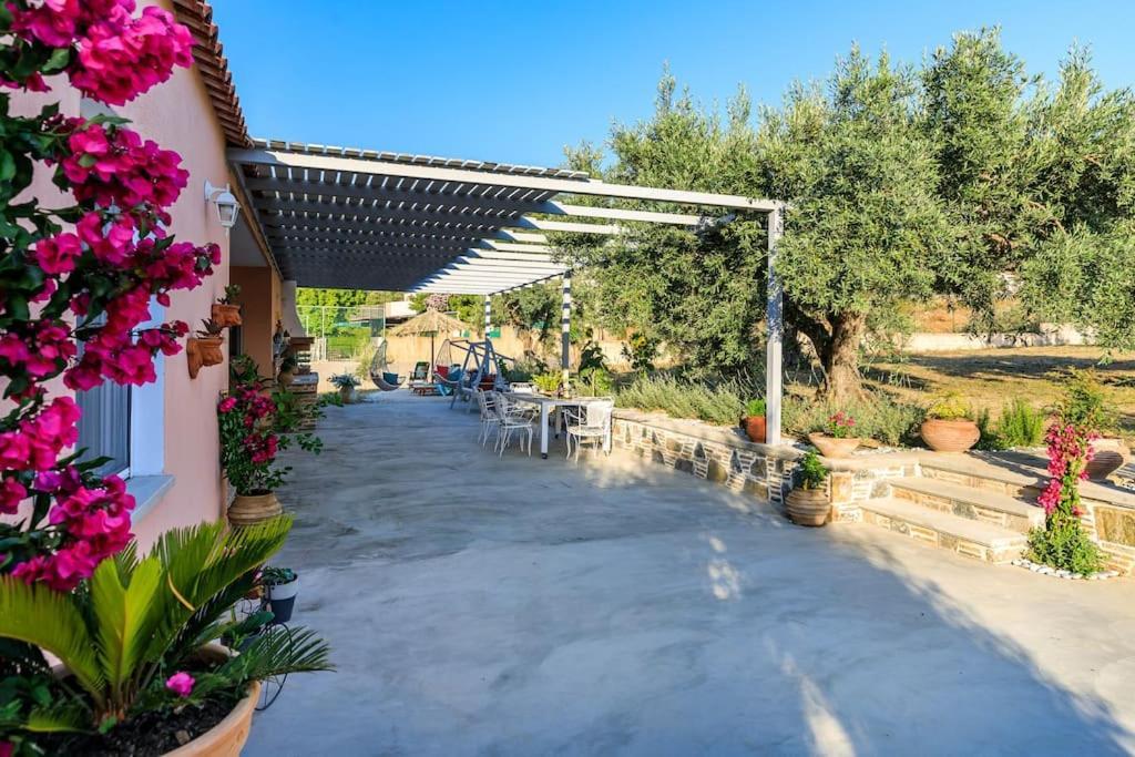 Skopelos Blue Heaven Pool Villa In Olive Grove Екстериор снимка